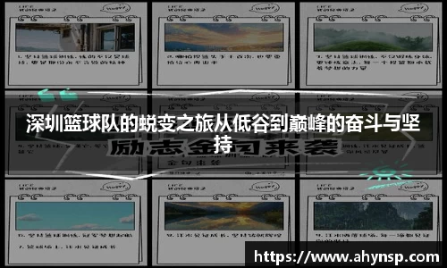 深圳篮球队的蜕变之旅从低谷到巅峰的奋斗与坚持