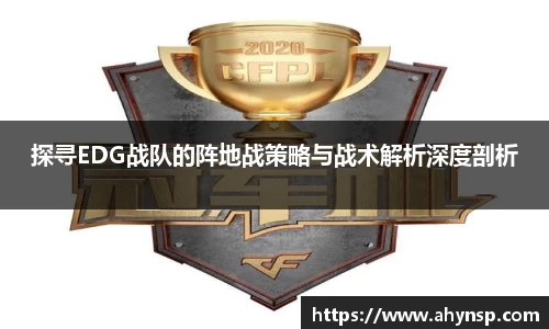 探寻EDG战队的阵地战策略与战术解析深度剖析